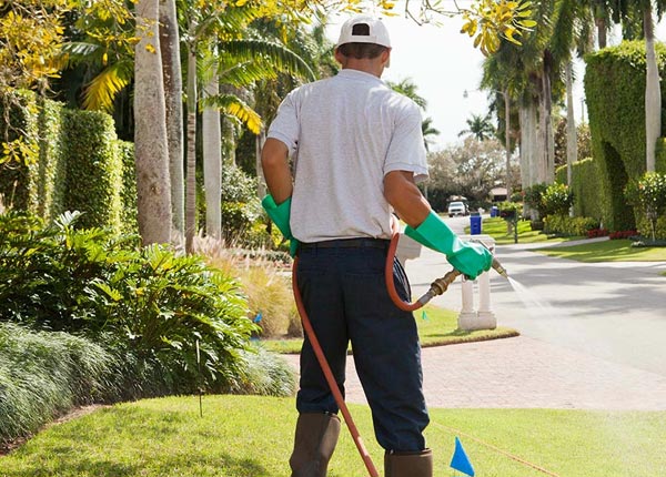 About Gandeeville WV Pest Control